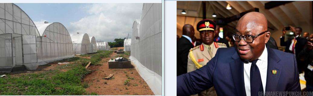 Akufo-Addo Commissions Greenhouse Village
