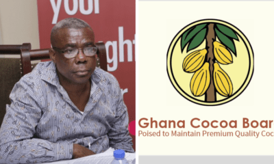 Peter Mac Manu New COCOBOD Chair