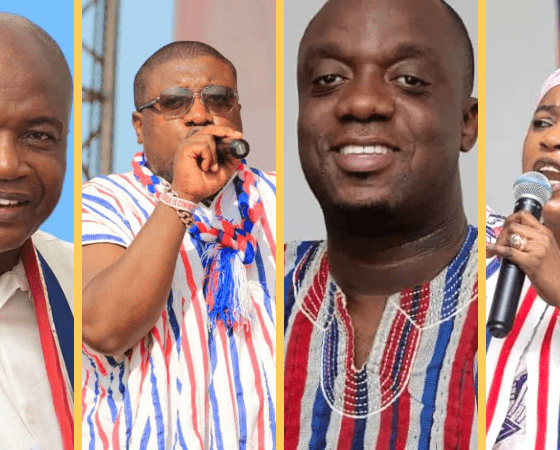 list of newly elected NPP National Executives