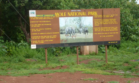 Ghana's top 5 national parks