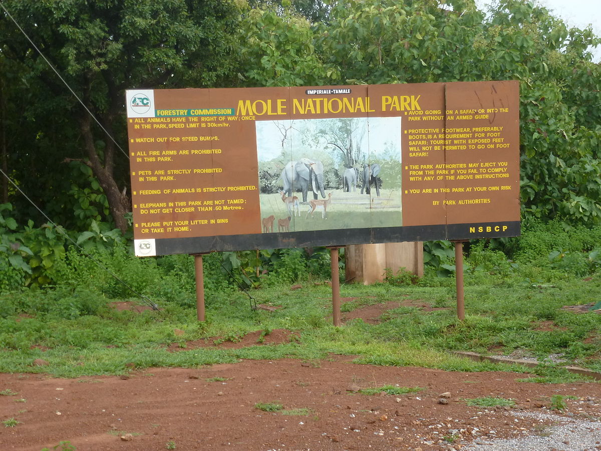 Ghana's top 5 national parks