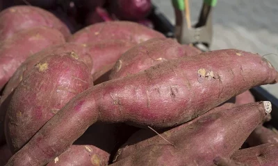 Sweet Potatoes