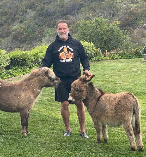 Arnold Schwarzenegger with Whiskey and Lulu