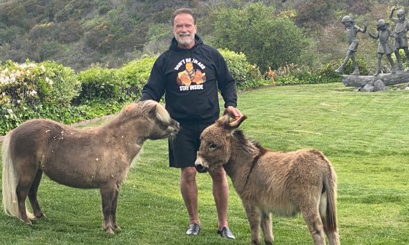 Arnold Schwarzenegger with Whiskey and Lulu