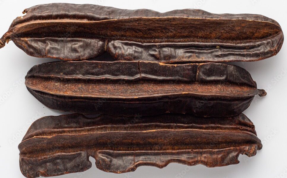 Spiritual Usefulness of Prekese