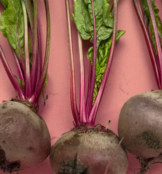 What Your Doctor Won't Tell You About Beetroot